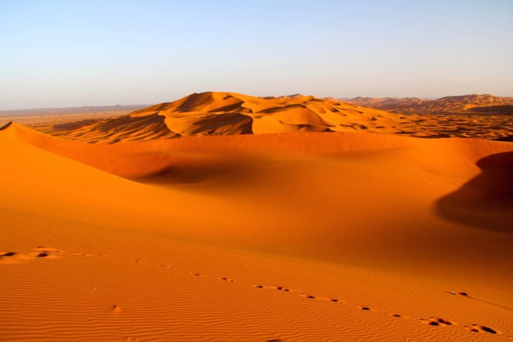 Morocco; Gay Travel; Out Adventures; Camels; Humps; Desert; Sahara; Berber
