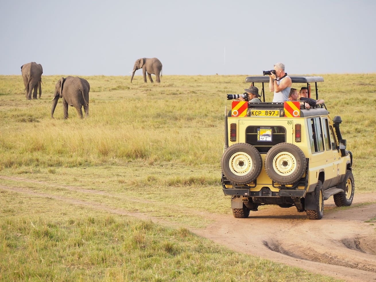 Travellers in safari jeep photograph grazing elephants.
