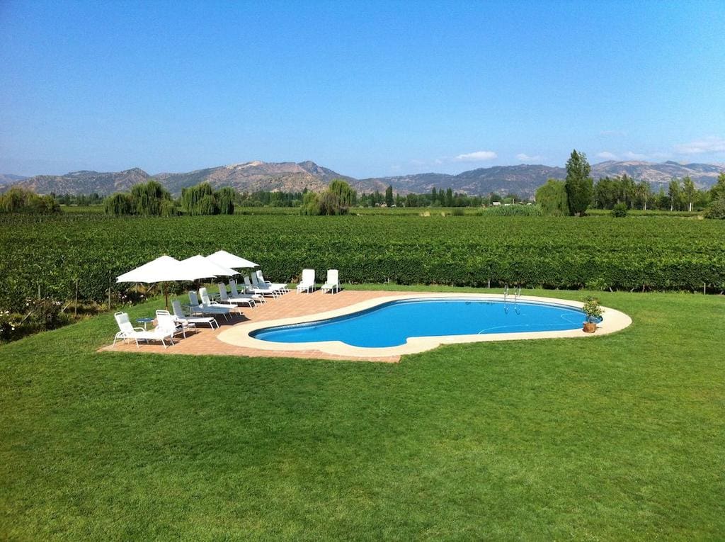 Hotel TerraViña's adorable pool, right beside the vineyards.