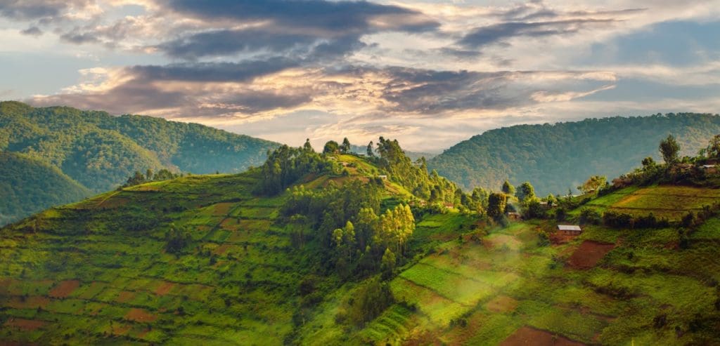 The lush, rolling hills of Rwanda where we'll go gorilla trekking.